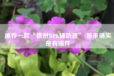 推荐一款“德州WPK辅助器”(原来确实是有插件