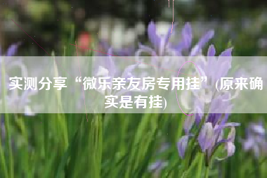 实测分享“微乐亲友房专用挂”(原来确实是有挂)