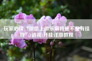 玩家必读“微信上微乐麻将是不是有挂呀”(透视)开挂详细教程