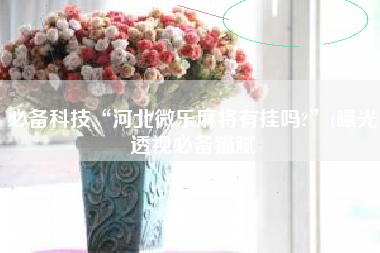 必备科技“河北微乐麻将有挂吗?”(曝光透视必备猫腻