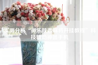 实测分析“微乐陕西麻将开挂教程”科技辅助神器手机