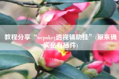 教程分享“wepoker透视辅助挂	”(原来确实是有插件)