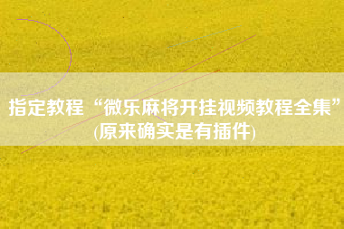 指定教程“微乐麻将开挂视频教程全集”(原来确实是有插件)