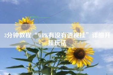 3分钟教程“WPK有没有透视挂	”详细开挂玩法