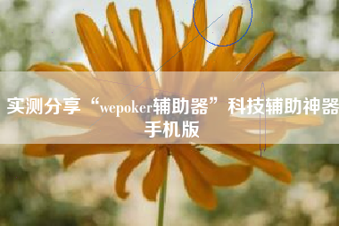 实测分享“wepoker辅助器”科技辅助神器手机版