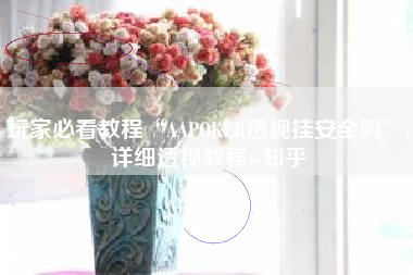 玩家必看教程“AAPOKER透视挂安全吗”(详细透视教程)-知乎