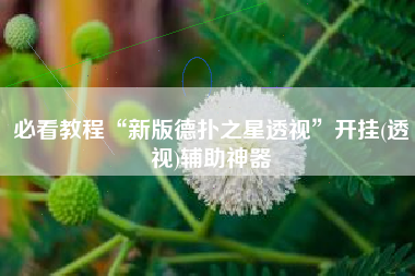 必看教程“新版德扑之星透视”开挂(透视)辅助神器