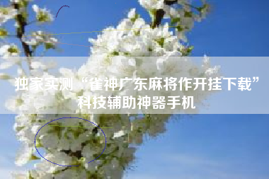 独家实测“雀神广东麻将作开挂下载”科技辅助神器手机