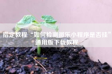 指定教程“如何检测微乐小程序是否挂”通用版下载教程
