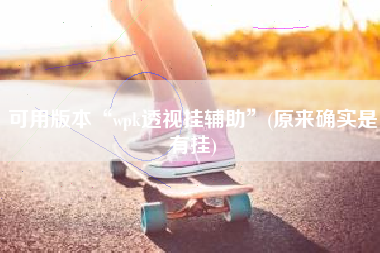 可用版本“wpk透视挂辅助”(原来确实是有挂)