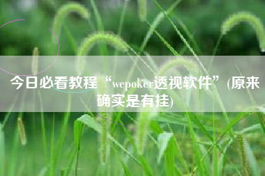 今日必看教程“wepoker透视软件”(原来确实是有挂)
