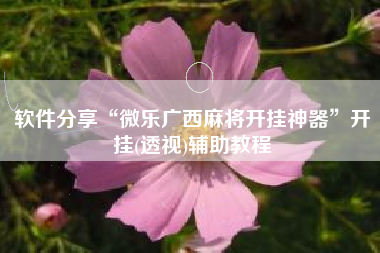 软件分享“微乐广西麻将开挂神器”开挂(透视)辅助教程