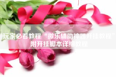 玩家必看教程“微乐辅助神器开挂教程”附开挂脚本详细教程