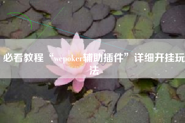 必看教程“wepoker辅助插件”详细开挂玩法