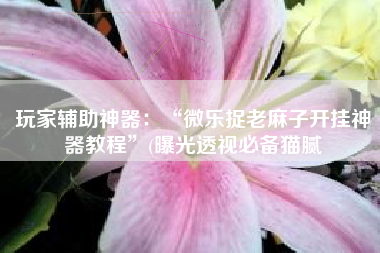 玩家辅助神器：“微乐捉老麻子开挂神器教程”(曝光透视必备猫腻