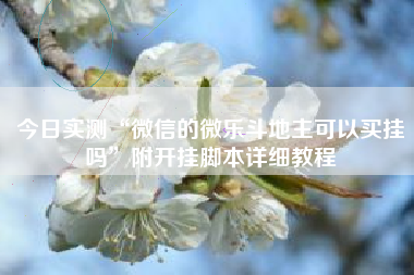 今日实测“微信的微乐斗地主可以买挂吗”附开挂脚本详细教程