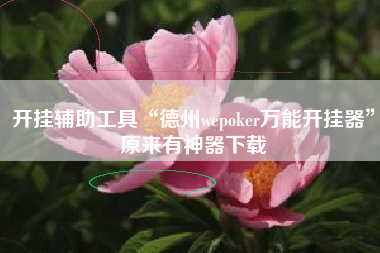 开挂辅助工具“德州wepoker万能开挂器”原来有神器下载