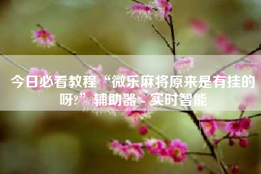 今日必看教程“微乐麻将原来是有挂的呀?	”辅助器 - 实时智能
