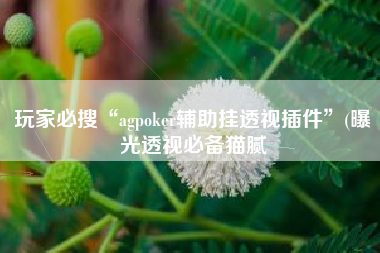 玩家必搜“agpoker辅助挂透视插件”(曝光透视必备猫腻