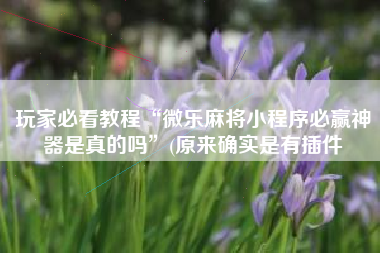 玩家必看教程“微乐麻将小程序必赢神器是真的吗”(原来确实是有插件