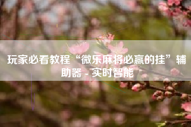 玩家必看教程“微乐麻将必赢的挂”辅助器 - 实时智能