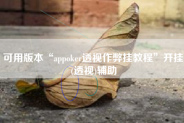 可用版本“appoker透视作弊挂教程”开挂(透视)辅助