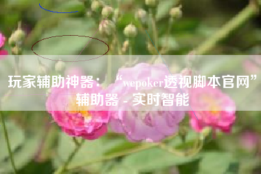 玩家辅助神器：“wepoker透视脚本官网”辅助器 - 实时智能