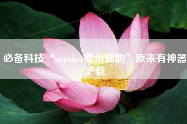 必备科技“wepoker德州辅助”原来有神器下载