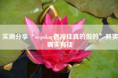 实测分享“wepoker透视挂真的假的”其实确实有挂