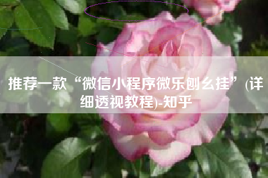 推荐一款“微信小程序微乐刨幺挂”(详细透视教程)-知乎