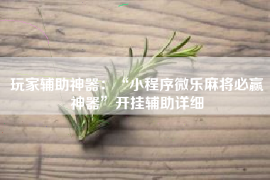 玩家辅助神器：“小程序微乐麻将必赢神器”开挂辅助详细
