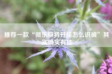 推荐一款“微乐麻将开挂怎么识破”其实确实有挂
