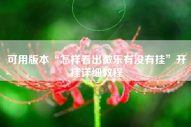 可用版本“怎样看出微乐有没有挂”开挂详细教程