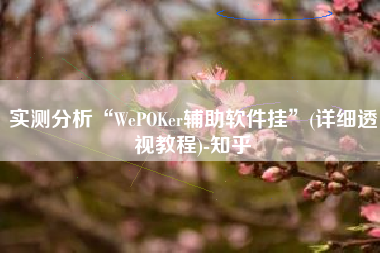 实测分析“WePOKer辅助软件挂”(详细透视教程)-知乎