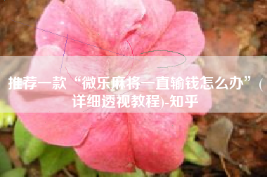 推荐一款“微乐麻将一直输钱怎么办	”(详细透视教程)-知乎