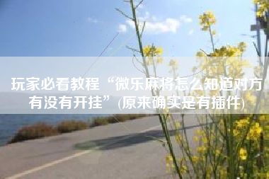 玩家必看教程“微乐麻将怎么知道对方有没有开挂	”(原来确实是有插件)