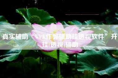 真实辅助“WPK作弊辅助挂透视软件”开挂(透视)辅助