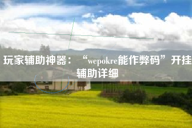 玩家辅助神器：“wepokre能作弊码”开挂辅助详细