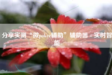 分享实测“微poker辅助”辅助器 - 实时智能