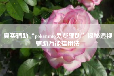 真实辅助“pokemmo免费辅助”揭秘透视辅助万能挂用法