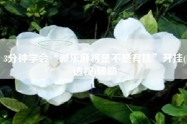 3分钟学会“微乐麻将是不是有挂”开挂(透视)辅助