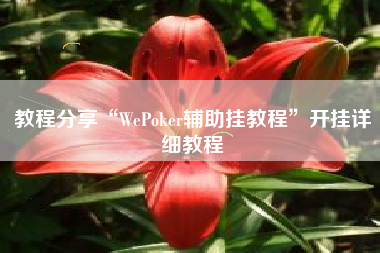 教程分享“WePoker辅助挂教程”开挂详细教程