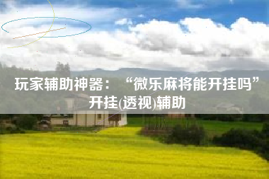 玩家辅助神器：“微乐麻将能开挂吗”开挂(透视)辅助