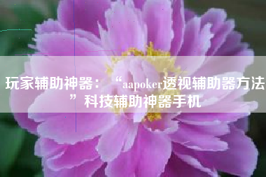玩家辅助神器：“aapoker透视辅助器方法”科技辅助神器手机
