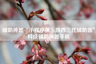 辅助神器“小程序微乐陕西三代辅助器”科技辅助神器手机