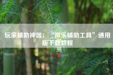 玩家辅助神器：“微乐辅助工具”通用版下载教程