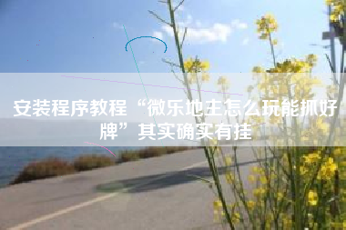 安装程序教程“微乐地主怎么玩能抓好牌”其实确实有挂