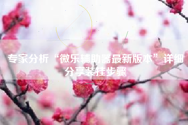 专家分析“微乐辅助器最新版本”详细分享装挂步骤