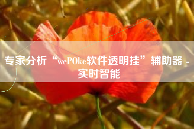 专家分析“wePOke软件透明挂”辅助器 - 实时智能