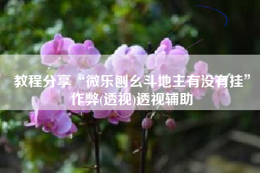 教程分享“微乐刨幺斗地主有没有挂”作弊(透视)透视辅助